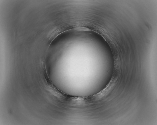 X0000113160140200909041303