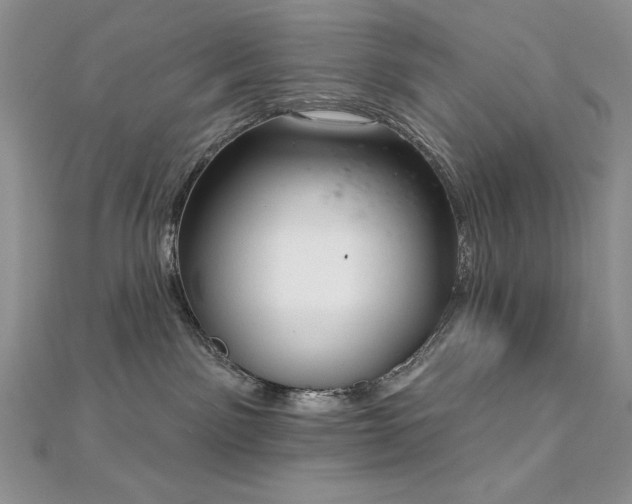 X0000113160141200909041303