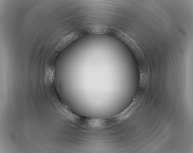 X0000113160142200909041303