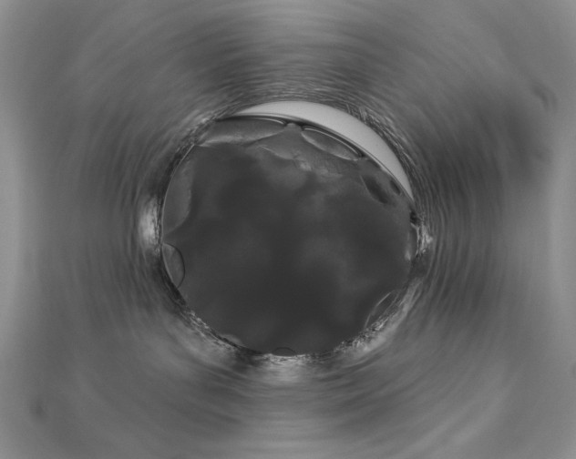 X0000113160143200909041303