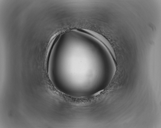 X0000113160144200909041303