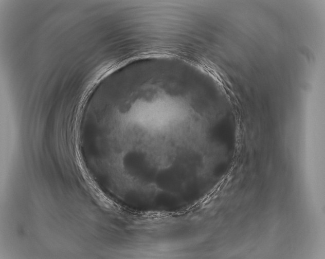 X0000113160145200909041302