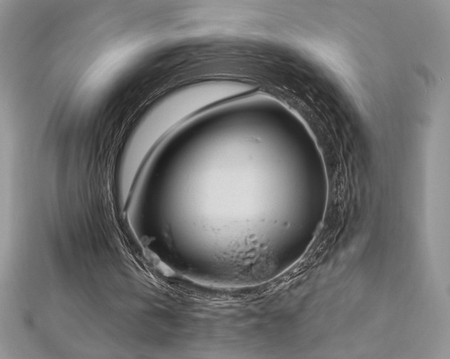 X0000113160146200909041302