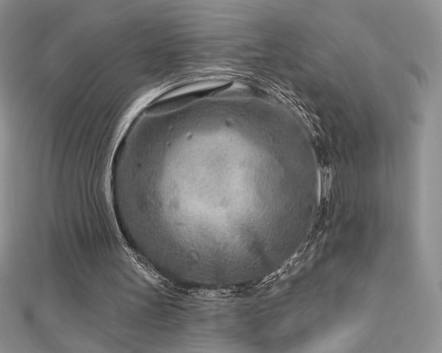 X0000113160147200909041302