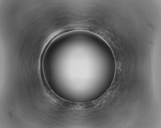 X0000113160148200909041302