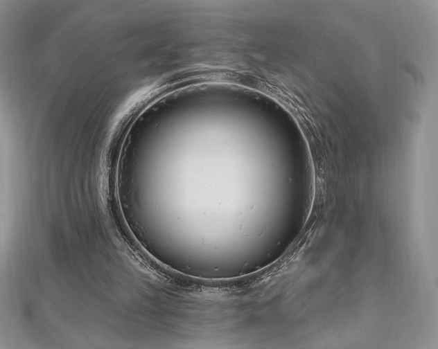 X0000113160149200909041302