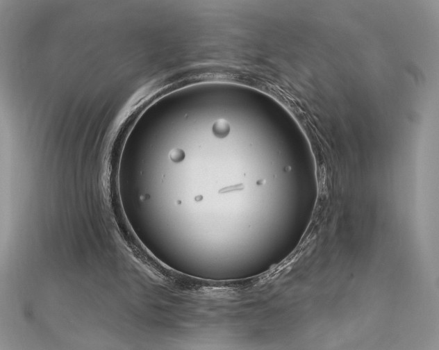 X0000113160150200909041302