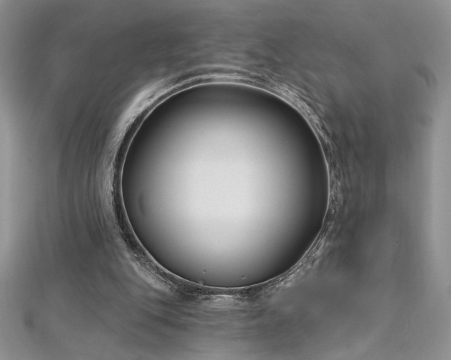 X0000113160151200909041302