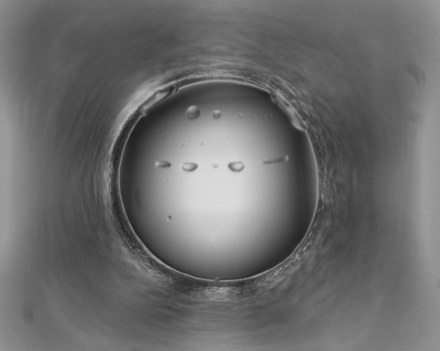 X0000113160152200909041302