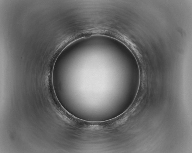 X0000113160153200909041302