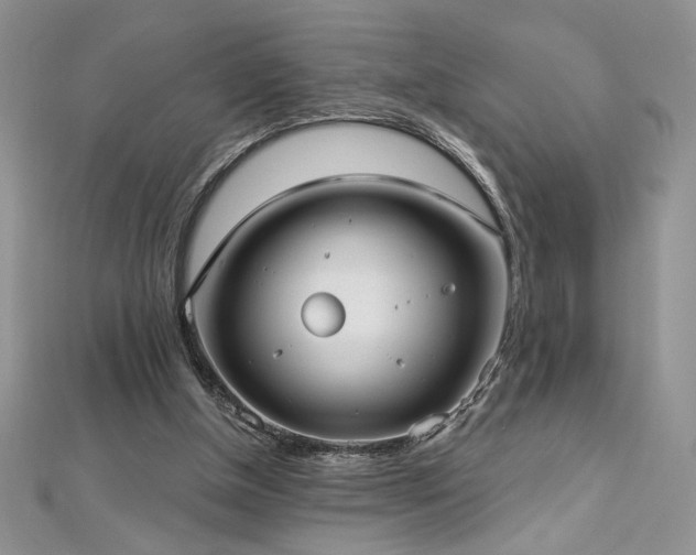 X0000113160154200909041302