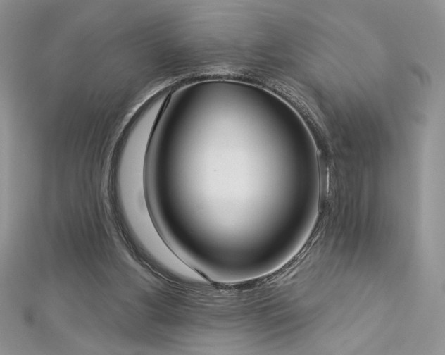 X0000113160156200909041302