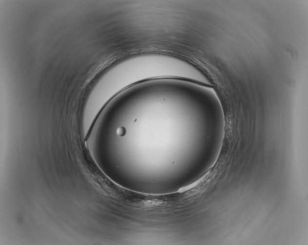 X0000113160158200909041302