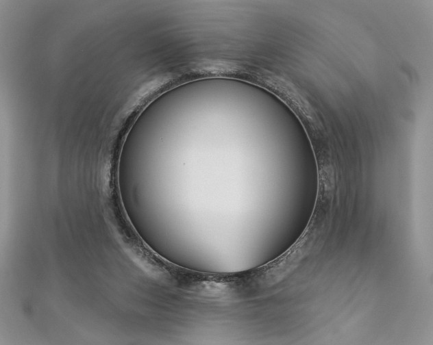 X0000113160159200909041303