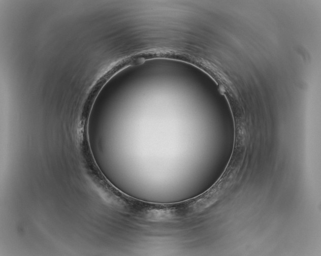 X0000113160160200909041303