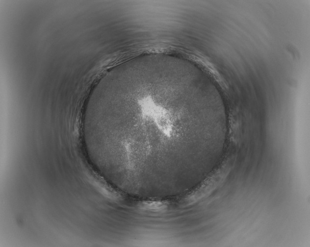 X0000113160161200909041303