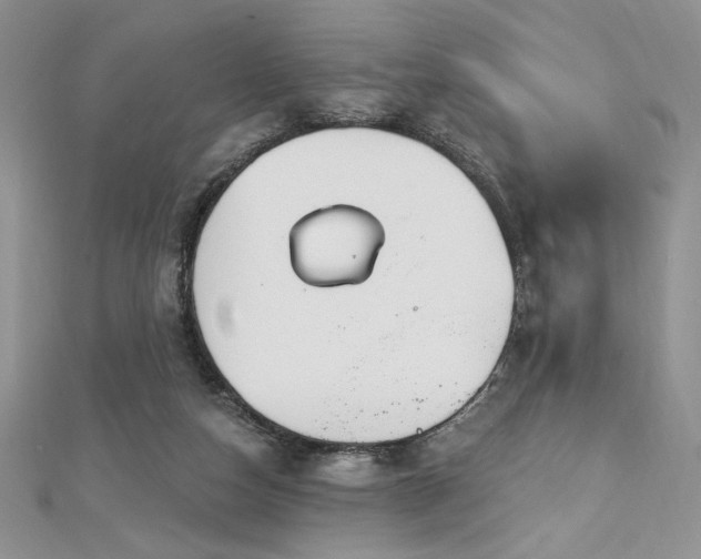 X0000113160162200909041303