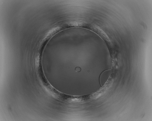 X0000113160163200909041303