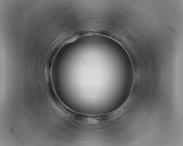 X0000113160166200909041303