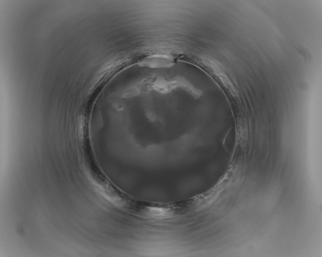 X0000113160167200909041303