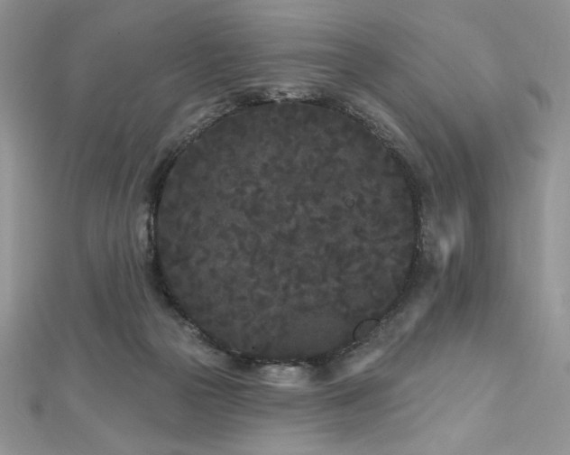 X0000113160169200909041303