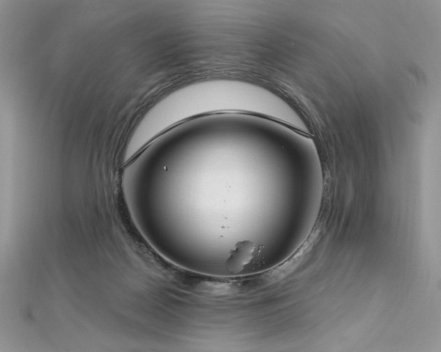 X0000113160170200909041303