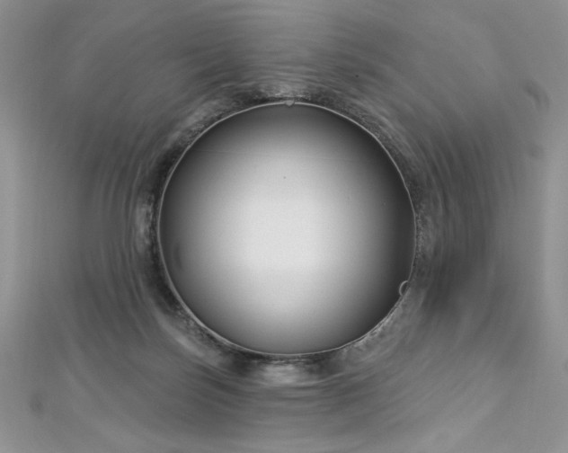 X0000113160171200909041303