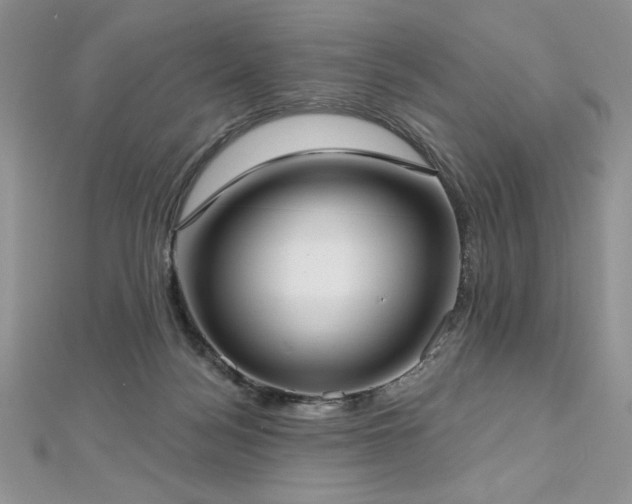 X0000113160172200909041303