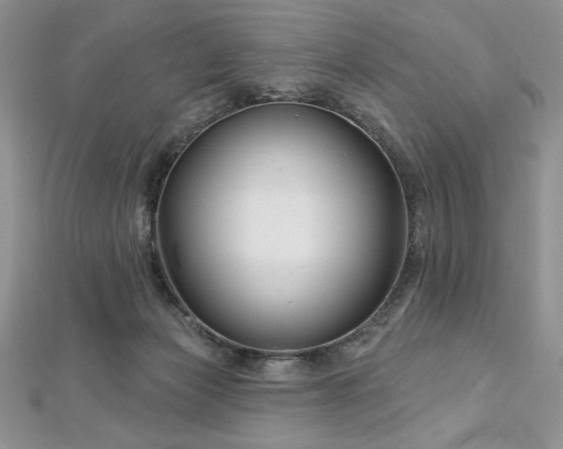 X0000113160173200909041303