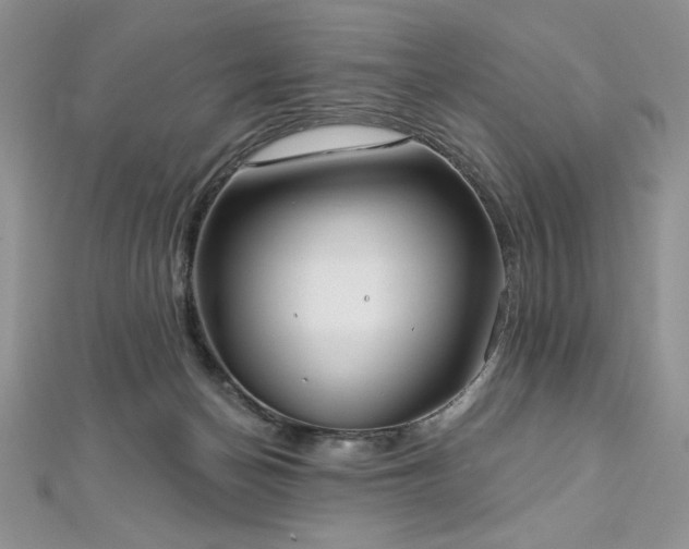 X0000113160174200909041303