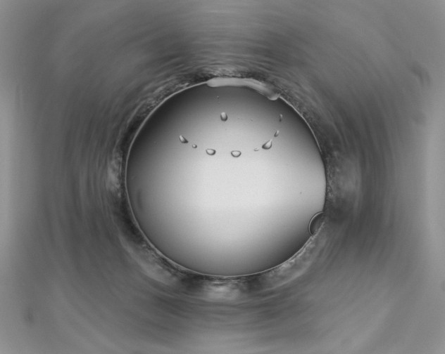 X0000113160175200909041303