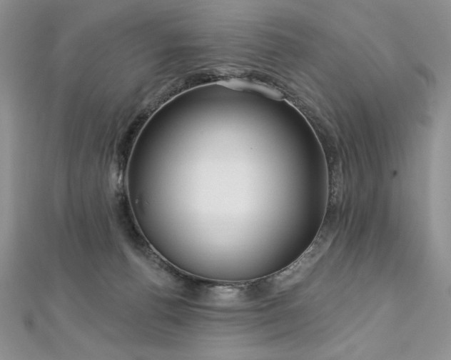 X0000113160176200909041303