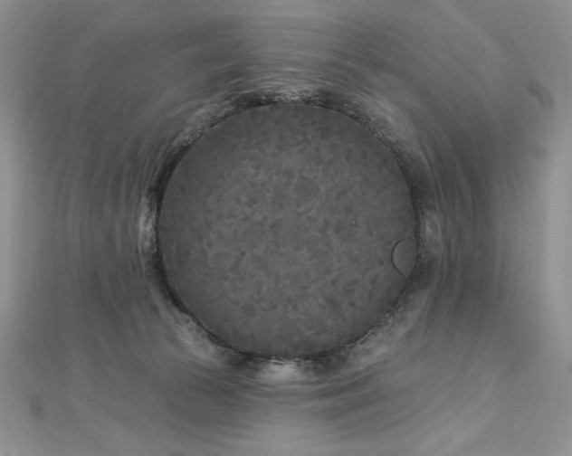 X0000113160177200909041303