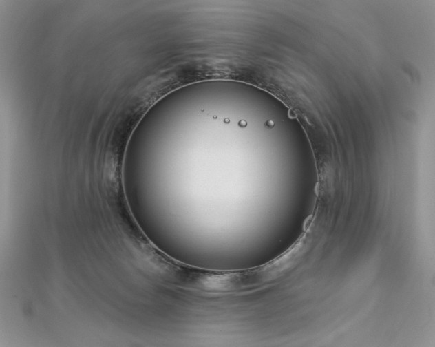 X0000113160178200909041303