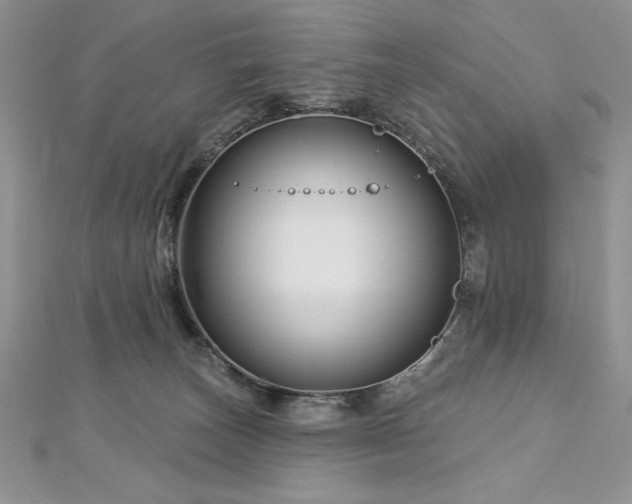 X0000113160179200909041303