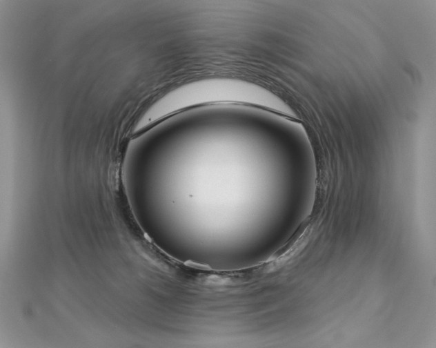 X0000113160180200909041303