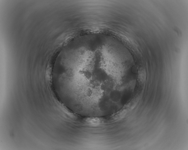 X0000113160181200909041303