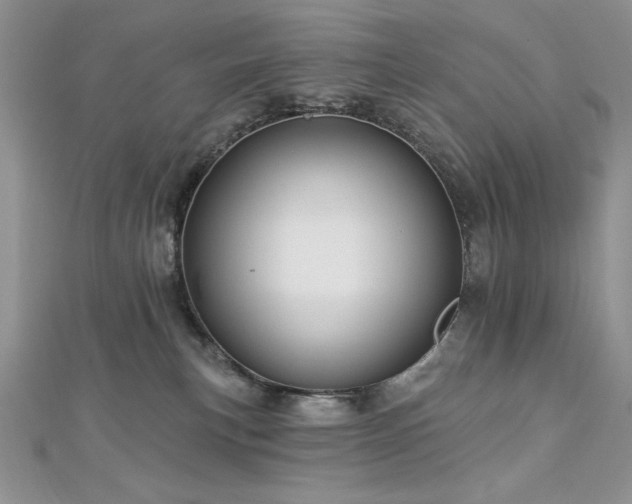 X0000113160183200909041303