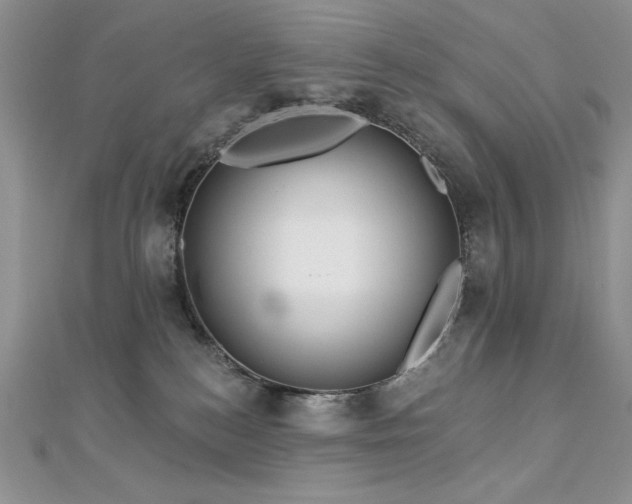 X0000113160184200909041303