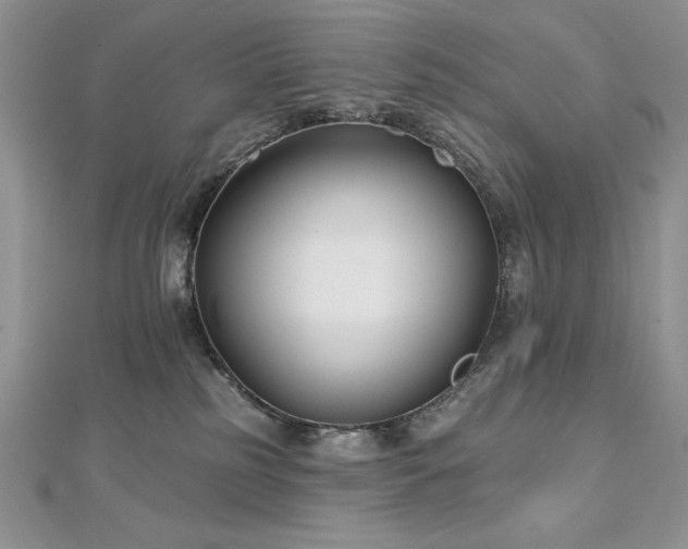 X0000113160185200909041303