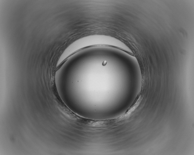 X0000113160186200909041303