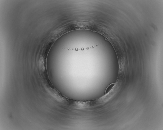 X0000113160187200909041303