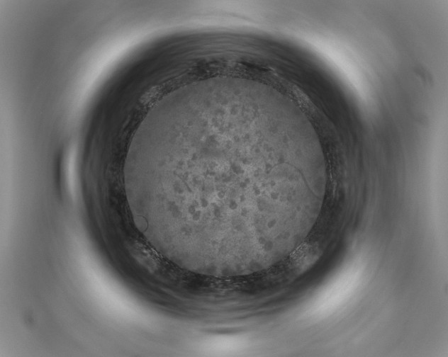 X0000113160189200909041303