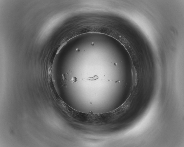 X0000113160190200909041303