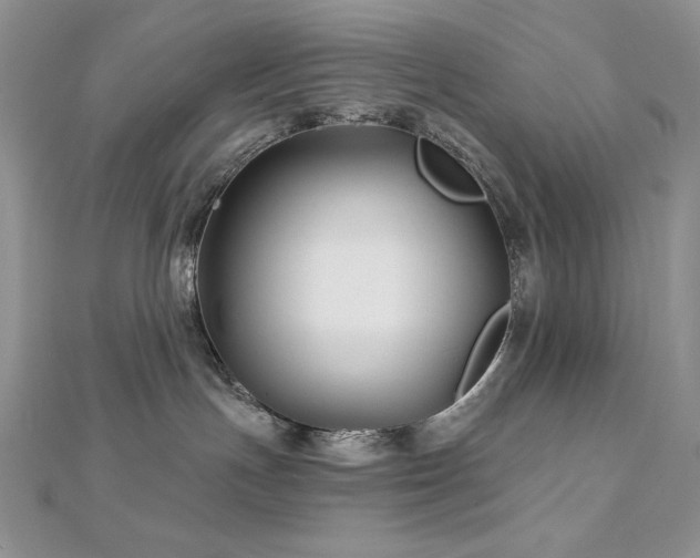 X0000113160191200909041303