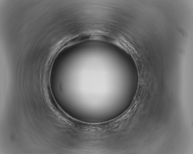 X0000113160193200909041302