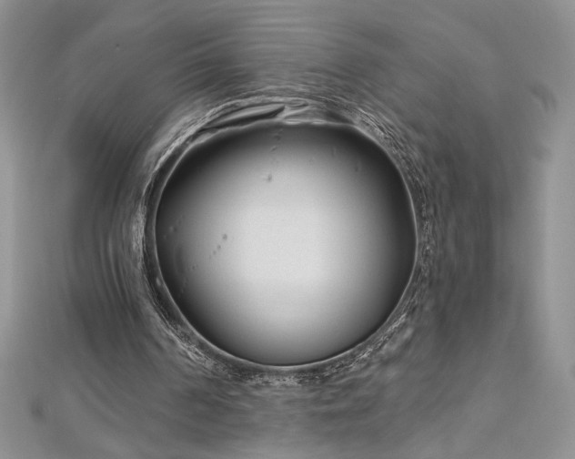 X0000113160194200909041302