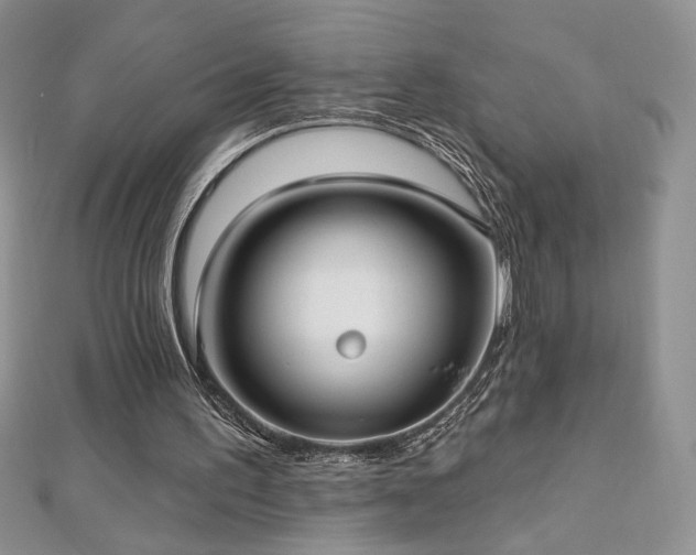 X0000113160195200909041302