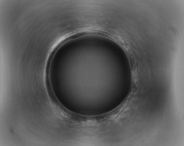 X0000113160196200909041302