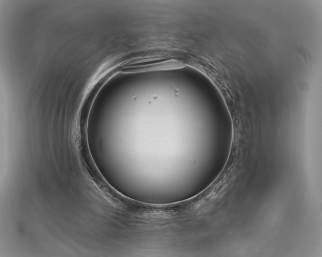 X0000113160198200909041302